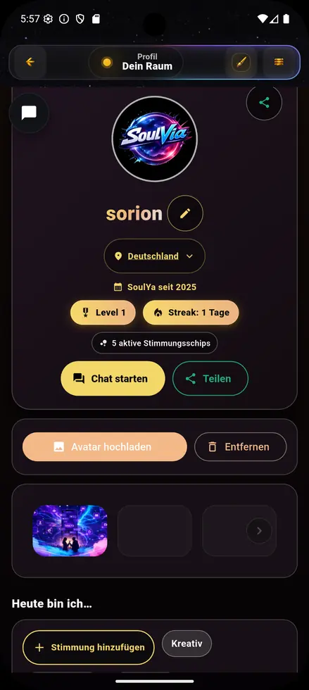 SoulYa Profil Übersicht